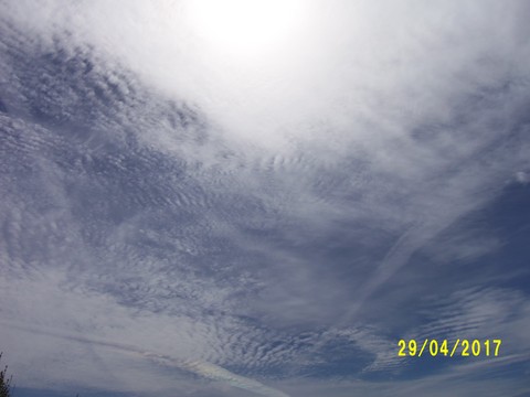 100_1780.JPG