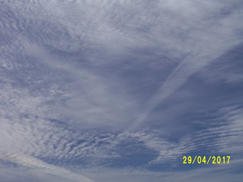 100_1781.JPG