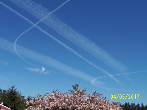 100_1787.JPG