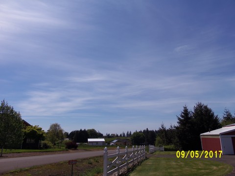 100_1813.JPG
