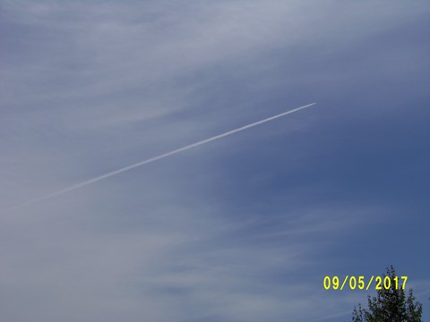 100_1814.JPG