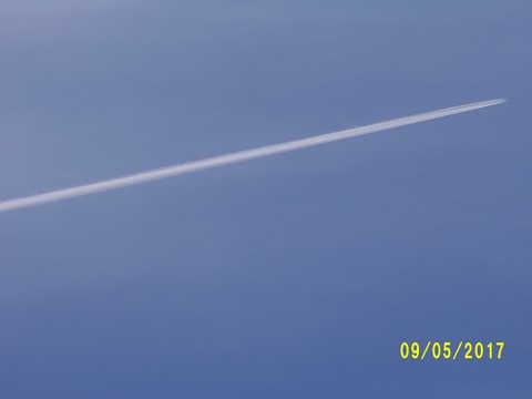 100_1815.JPG