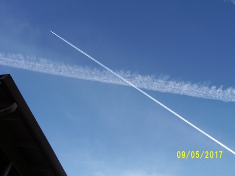 100_1818.JPG