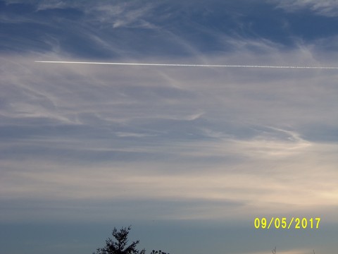 100_1829.JPG