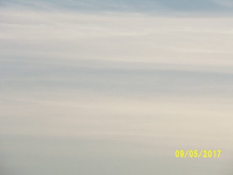 100_1826.JPG