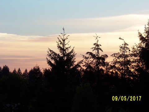 100_1831.JPG