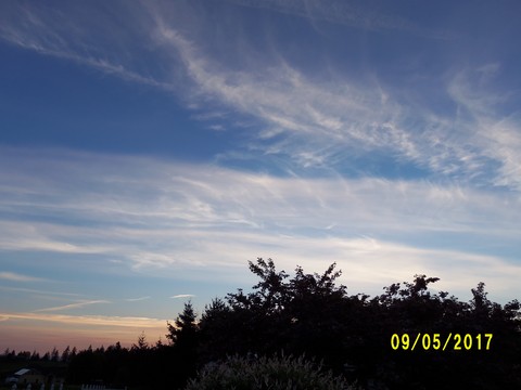 100_1836.JPG