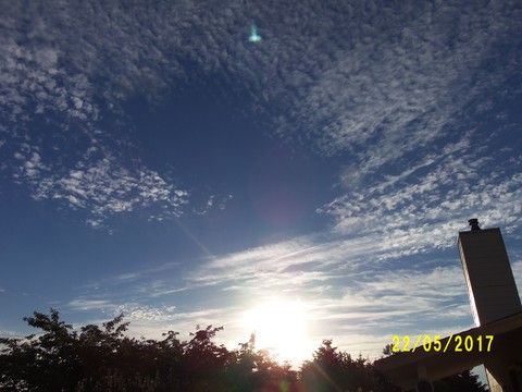 100_1852.JPG
