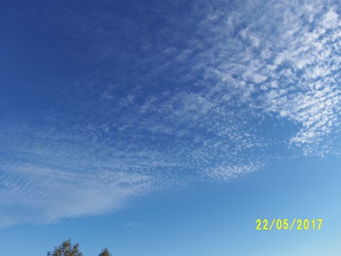 100_1853.JPG
