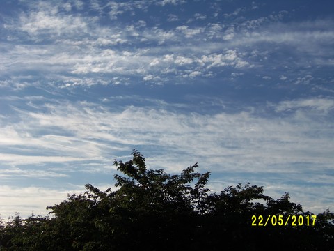 100_1854.JPG