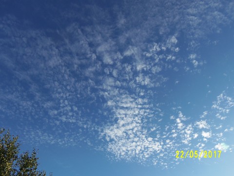 100_1857.JPG