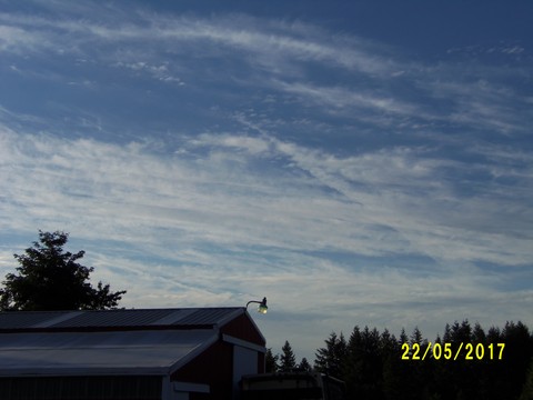 100_1858.JPG