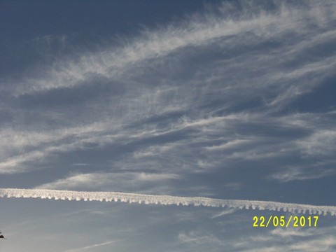 100_1859.JPG