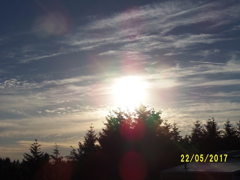 100_1855.JPG