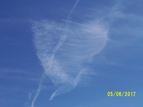 100_1860.JPG