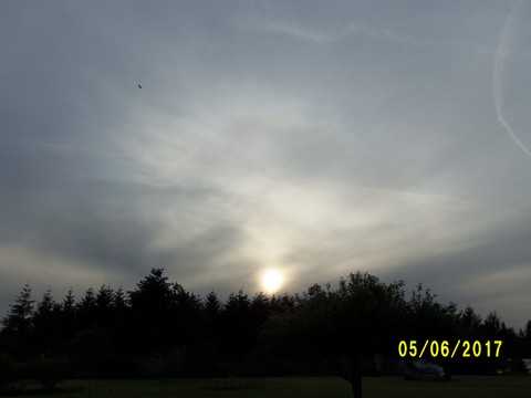 100_1868.JPG