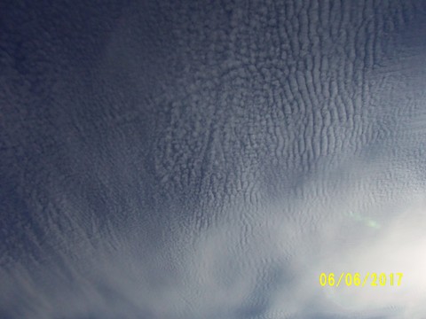 100_1874.JPG