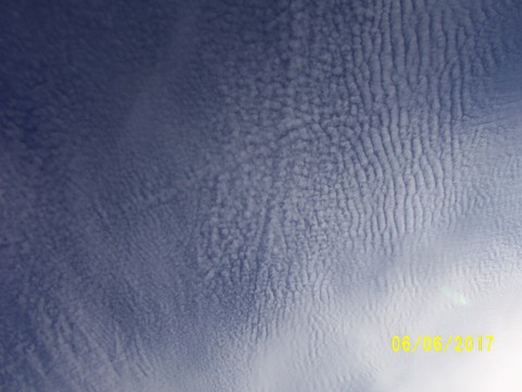 100_1875.JPG