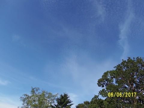 100_1876.JPG