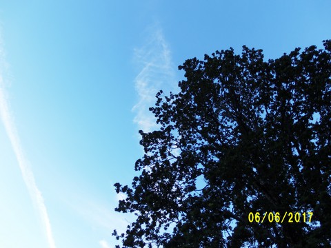 100_1877.JPG