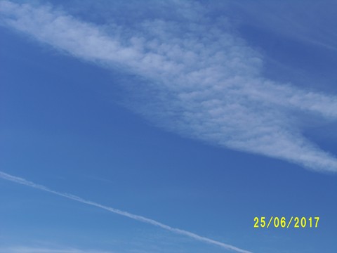 100_1889.JPG