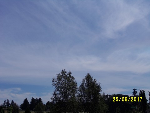 100_1892.JPG