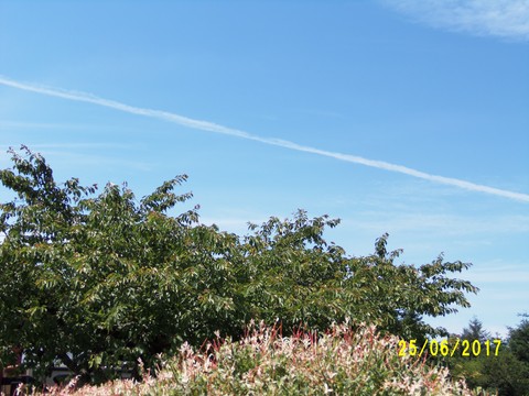 100_1895.JPG