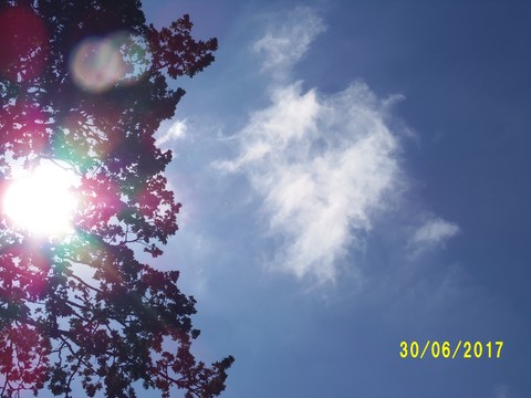 100_1900.JPG