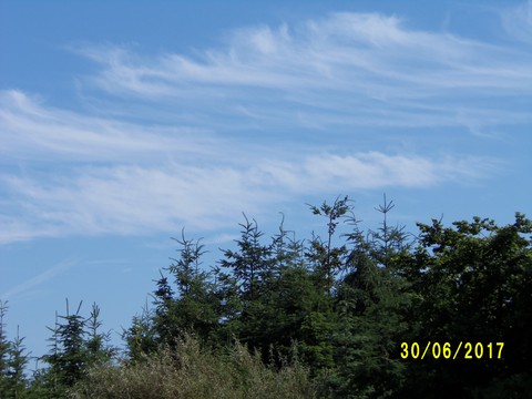 100_1901.JPG
