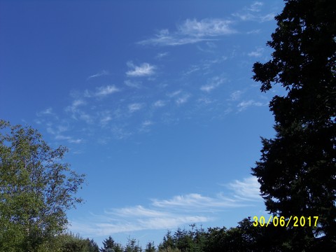 100_1902.JPG