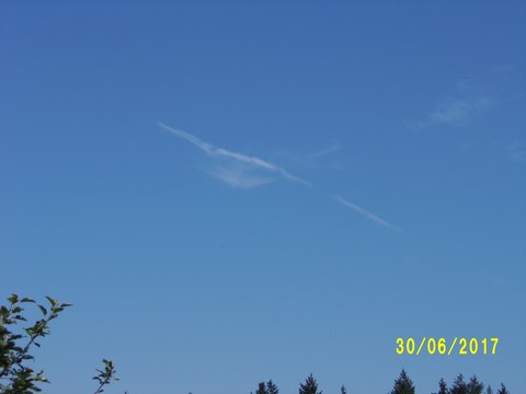 100_1903.JPG