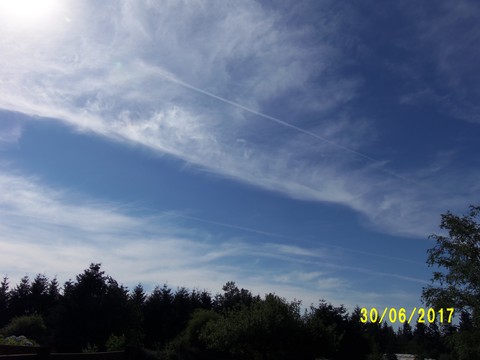 100_1904.JPG