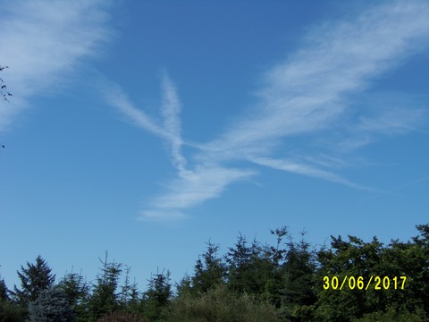100_1905.JPG