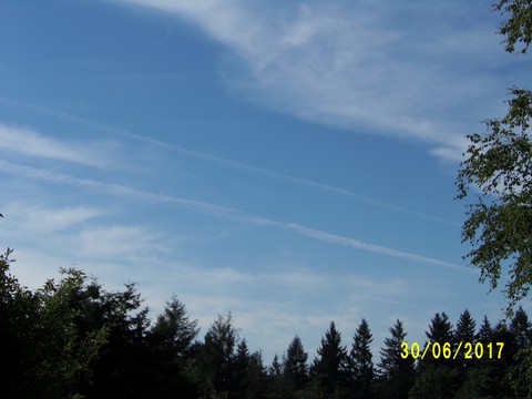 100_1906.JPG