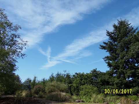 100_1915.JPG