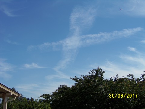 100_1907.JPG