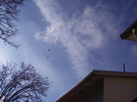 100_0608.JPG