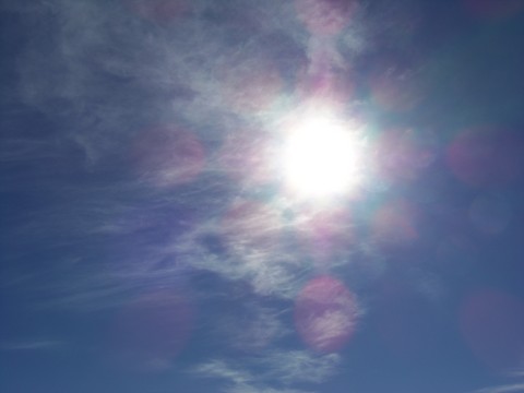 100_0288.JPG