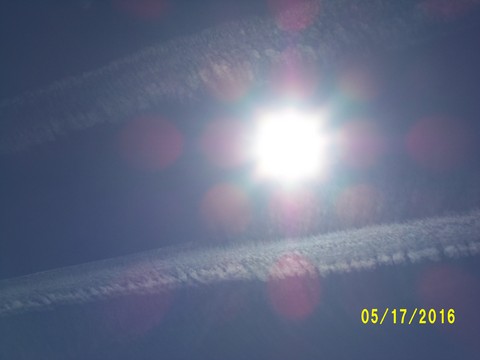 100_0767.JPG