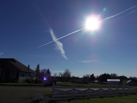 100_0448.JPG