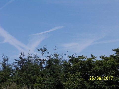 100_1890.JPG