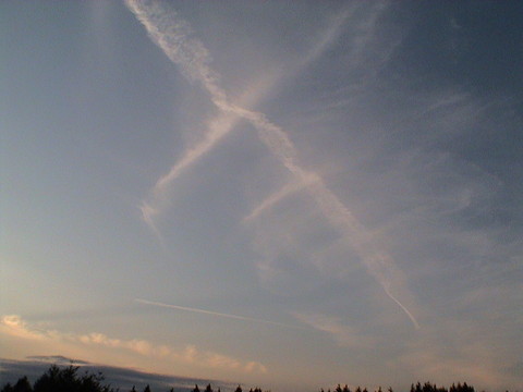 DSC01268.JPG