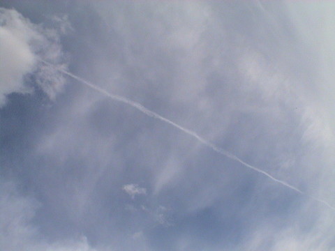 DSC01225.JPG