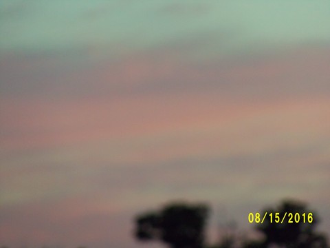 100_1138.JPG