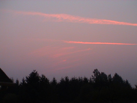 DSC01302.JPG