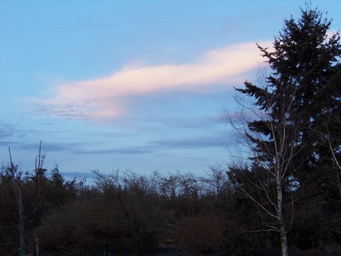 100_1681.JPG