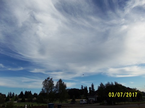 100_1918.JPG
