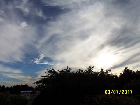 100_1919.JPG