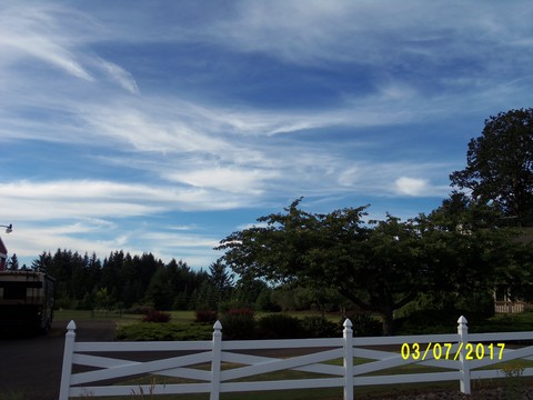 100_1923.JPG