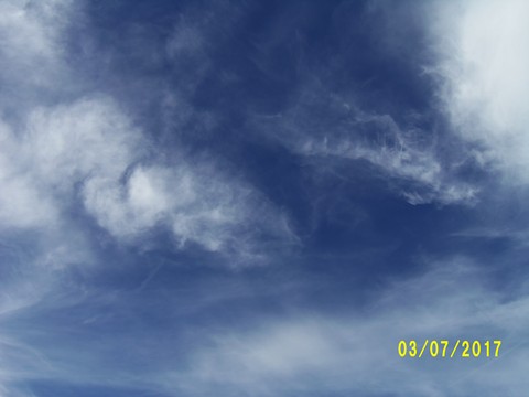 100_1924.JPG